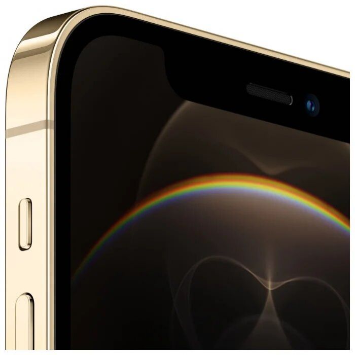 iPhone12pro ゴールド　256GB Купить Apple iPhone 12 Pro 256Gb Limited (Gold) в Калининграде